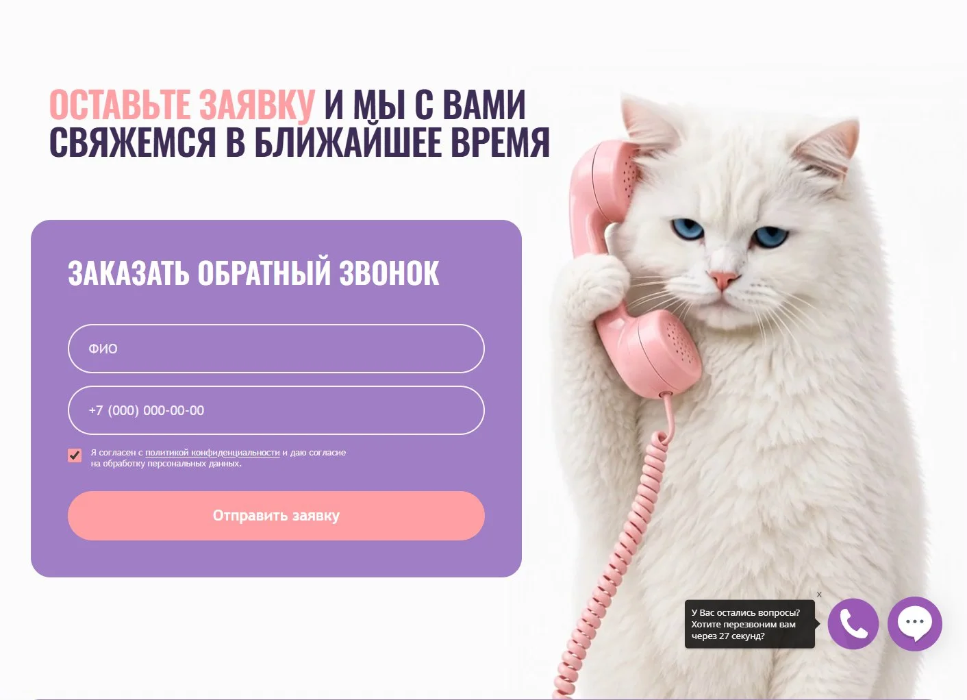 Форма обратного звонка с анимированным котом