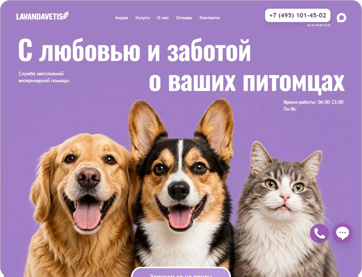 Первый экран Lavandavetis